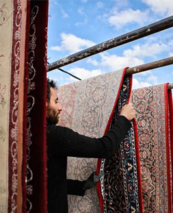 خشک کردن قالی در قالیشویی قیطریه